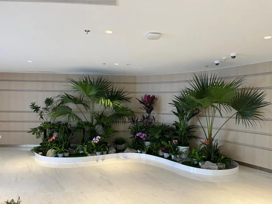 聚焦宁波江北绿化养护设计，守护自然好风光